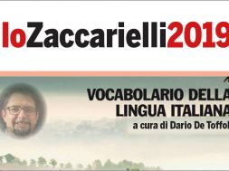 LoZaccarielli 2019