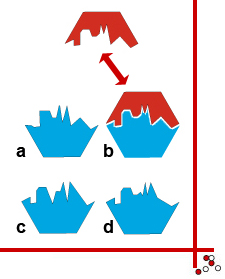 gioco_delle_parti_sol.jpg